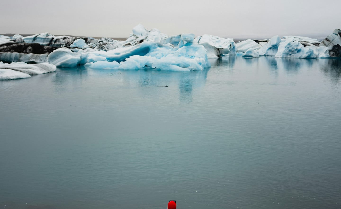 A Photographer's Guide to Capturing the Beauty of Antarctica